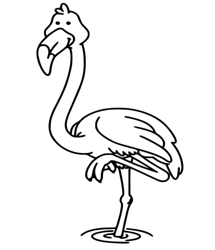 Flamingo se para sobre una pierna