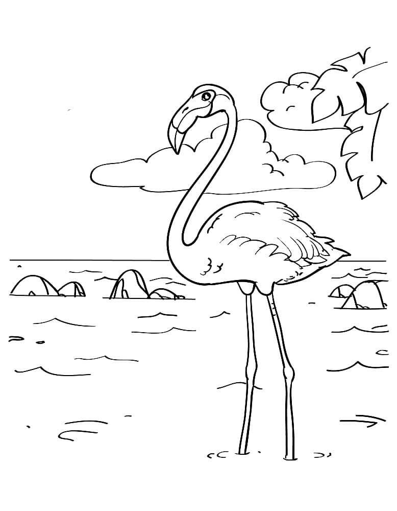Flamingo en el lago
