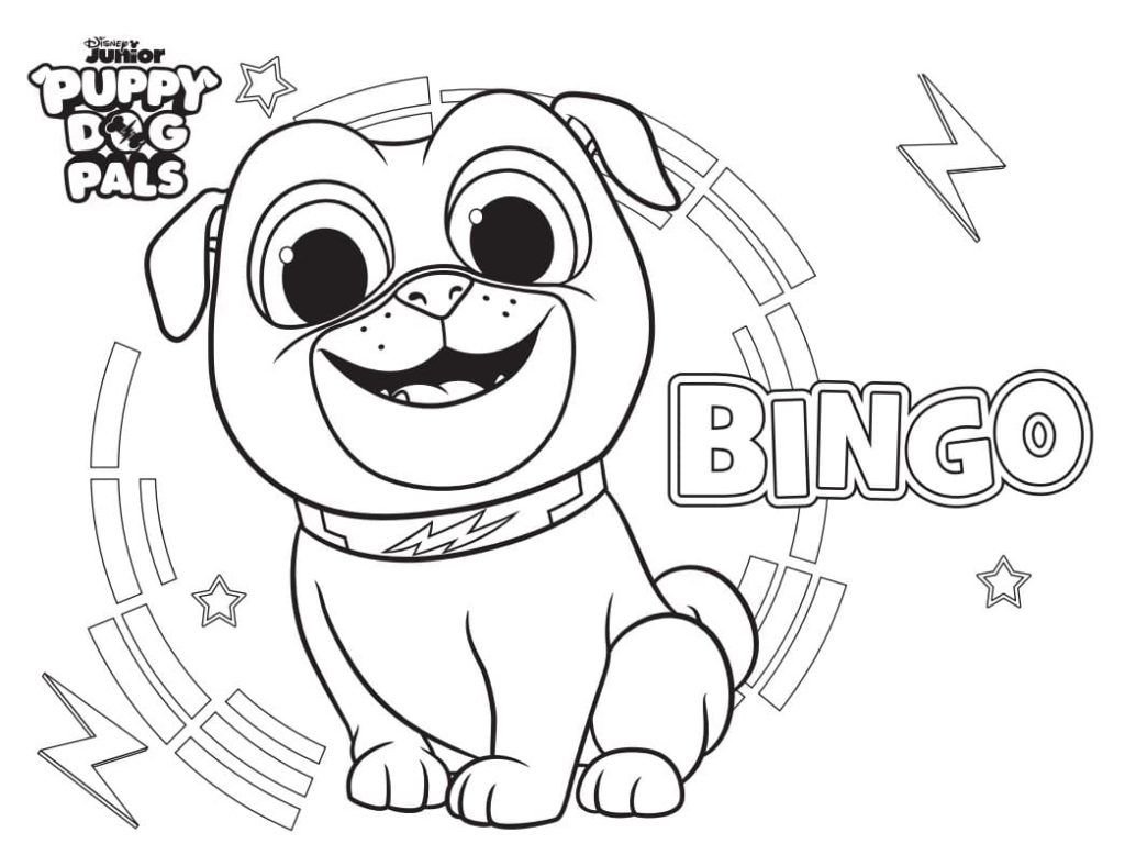 Cachorro de bingo