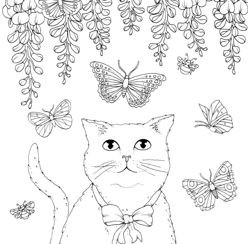 Gato y mariposas