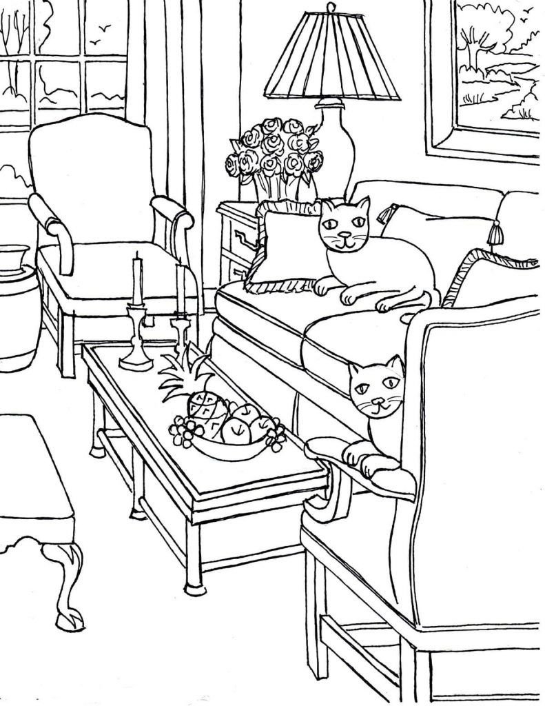 gatos en el sofÃ¡