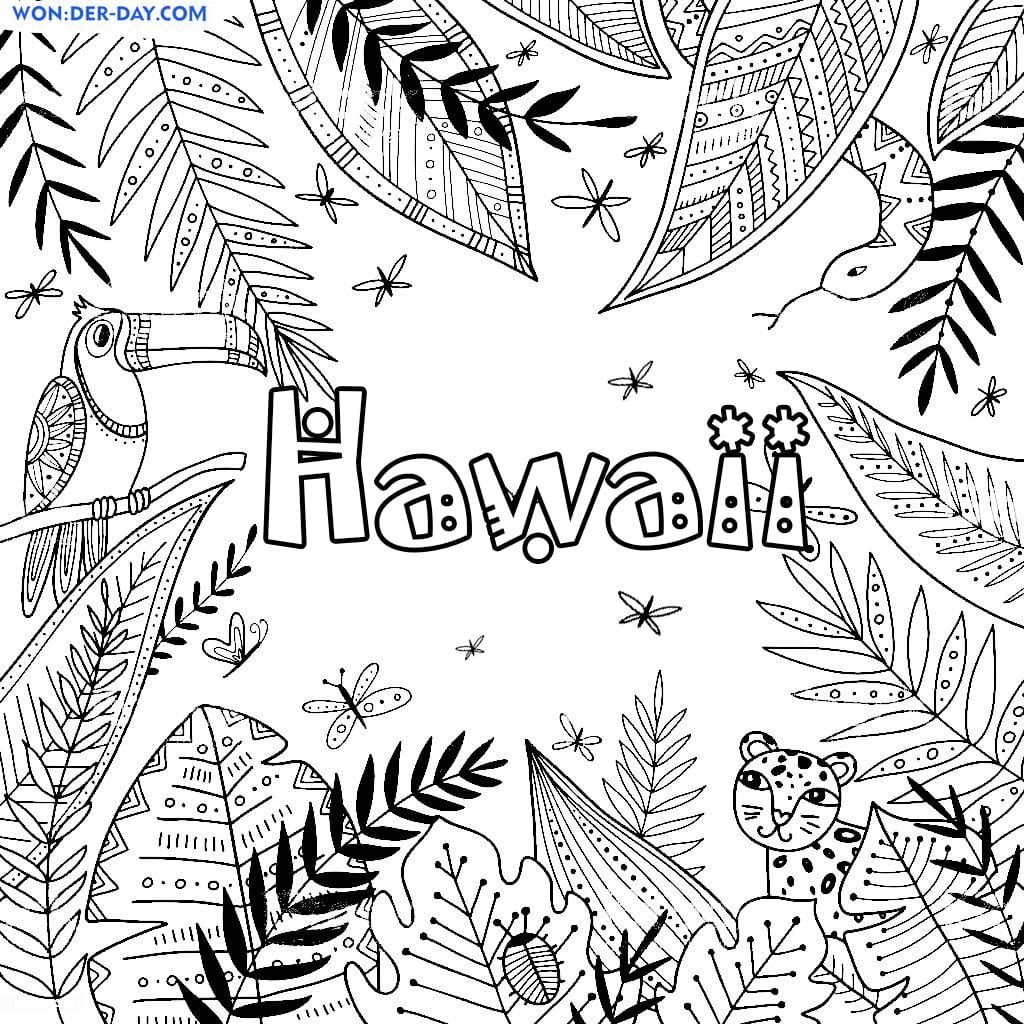 Libro para colorear de HawÃ¡i