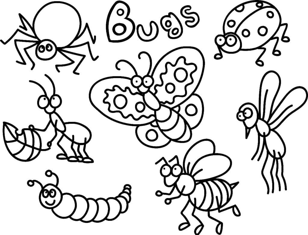 Libro para colorear insectos para niños