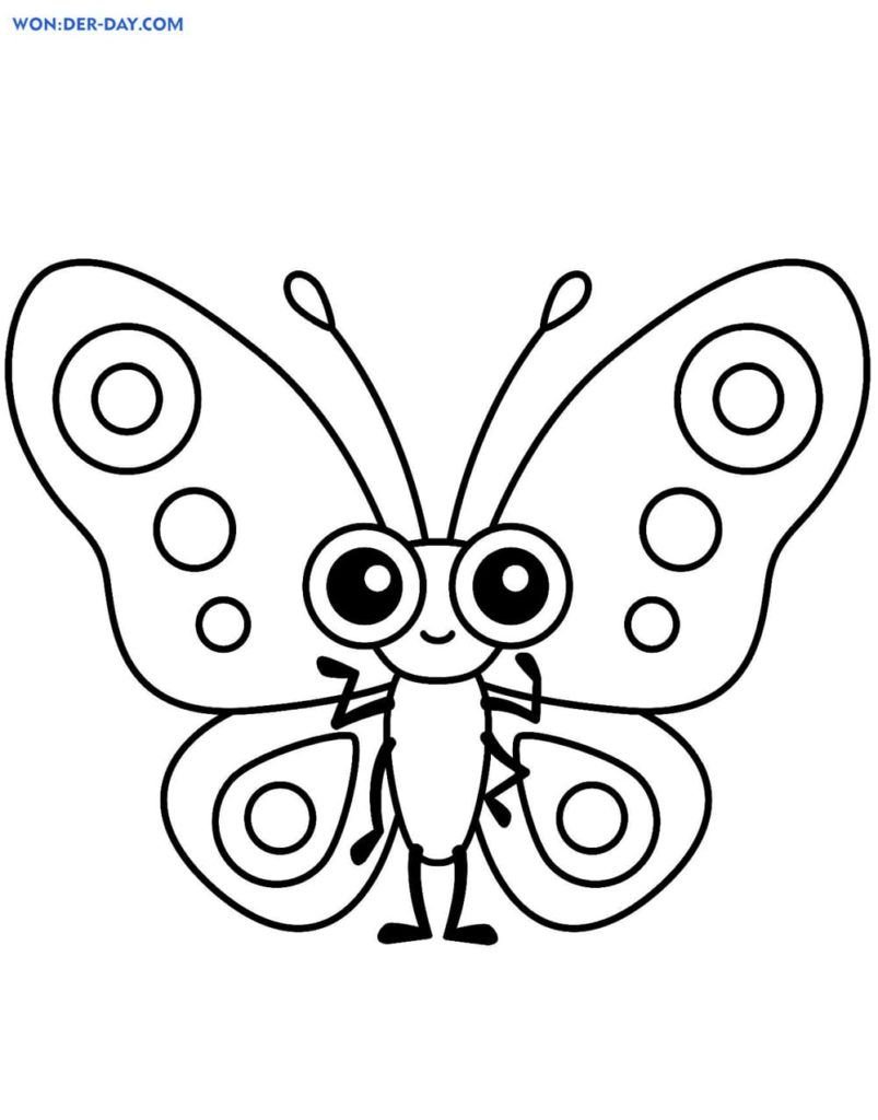 Mariposa con ojos grandes