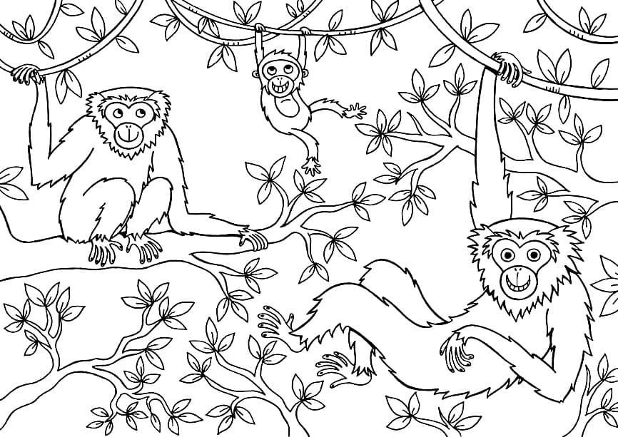 Monos saltando en las ramas