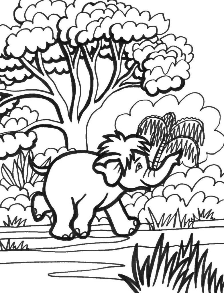 El elefante corre hacia el lago