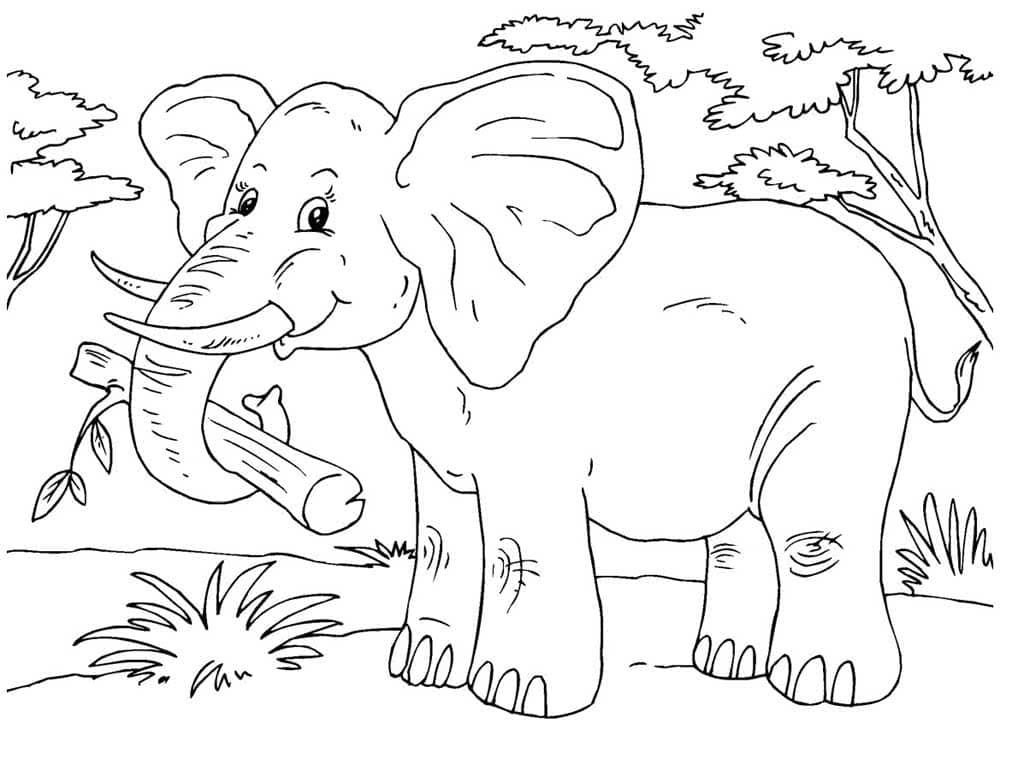 Un elefante lleva una ramita.