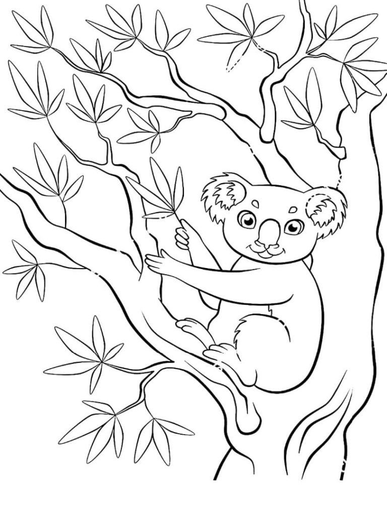 Koala en un árbol
