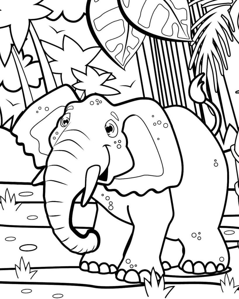 Elefante de la selva