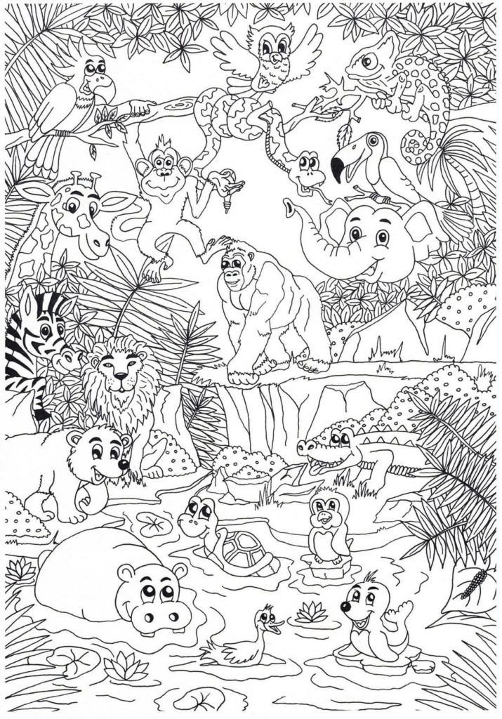 Muchos animales de la selva