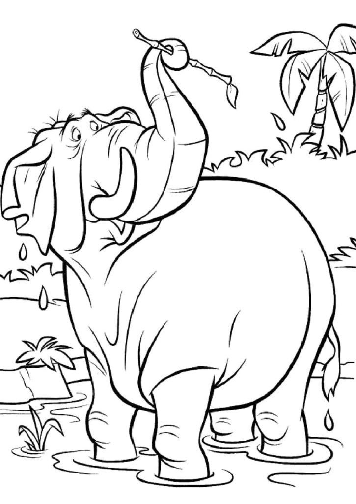 Elefante con una ramita