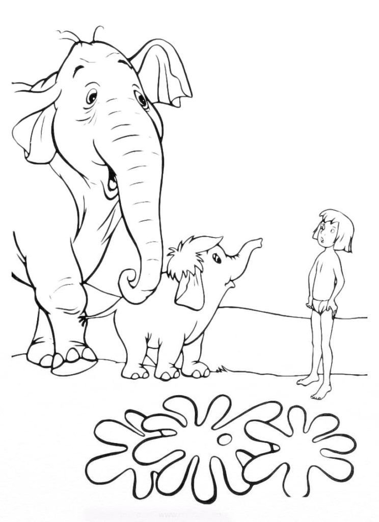 Mowgli vio elefantes