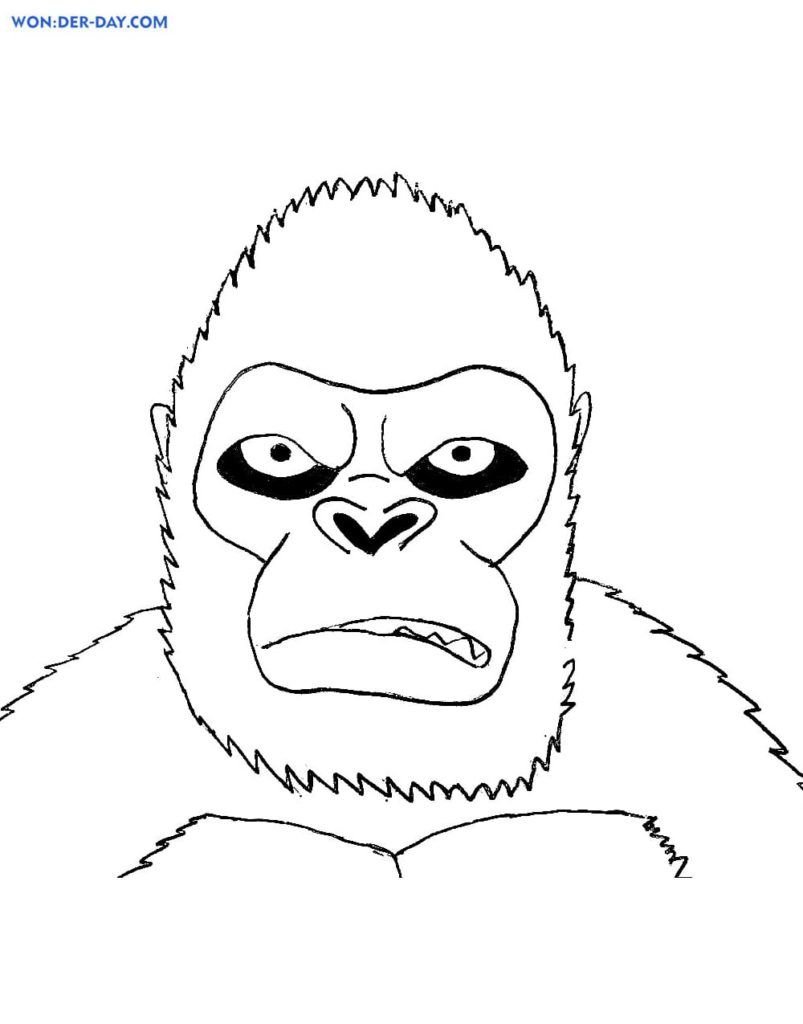 Cara de King Kong