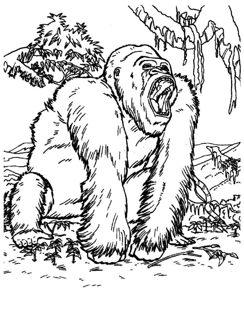 Gorila de la pelÃ­cula