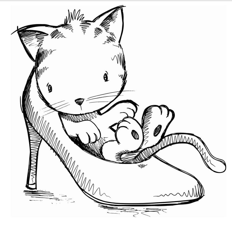 Gatito en un zapato