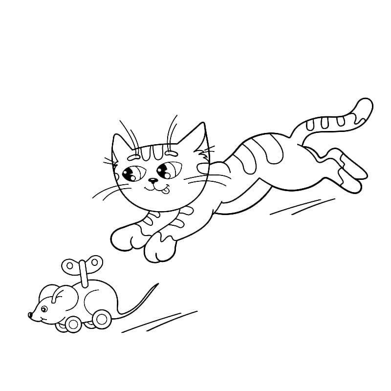 Gatito corre tras un ratón de juguete