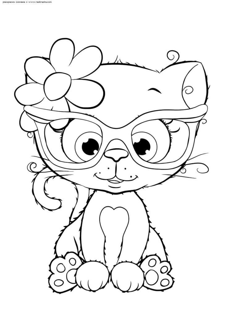 Lindo gatito con gafas