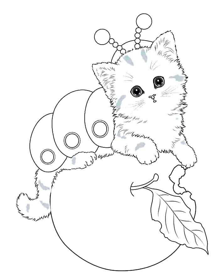 Gatito disfrazado de caracol