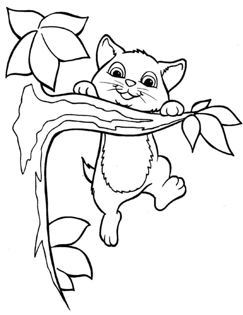 Gatito colgado de una rama