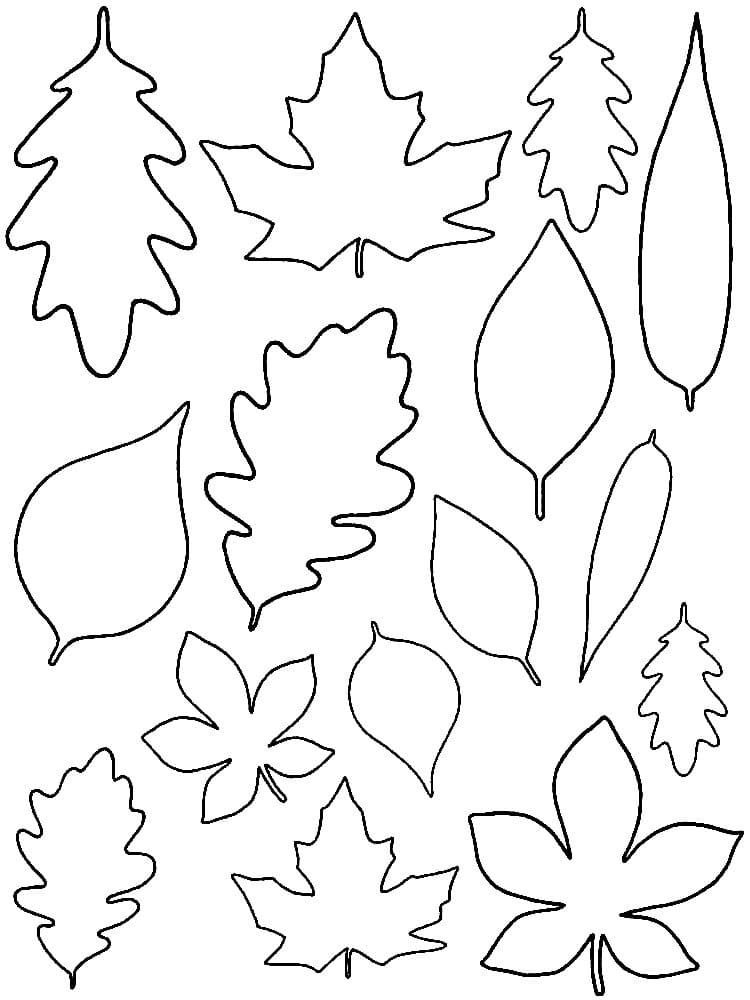 Muchas hojas