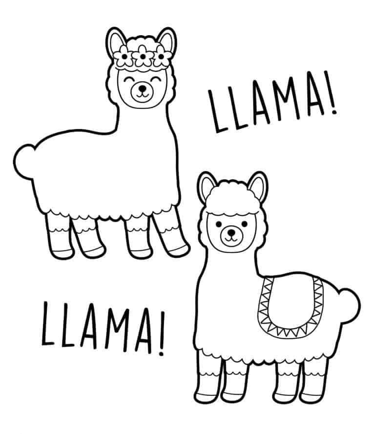 Dos lamas