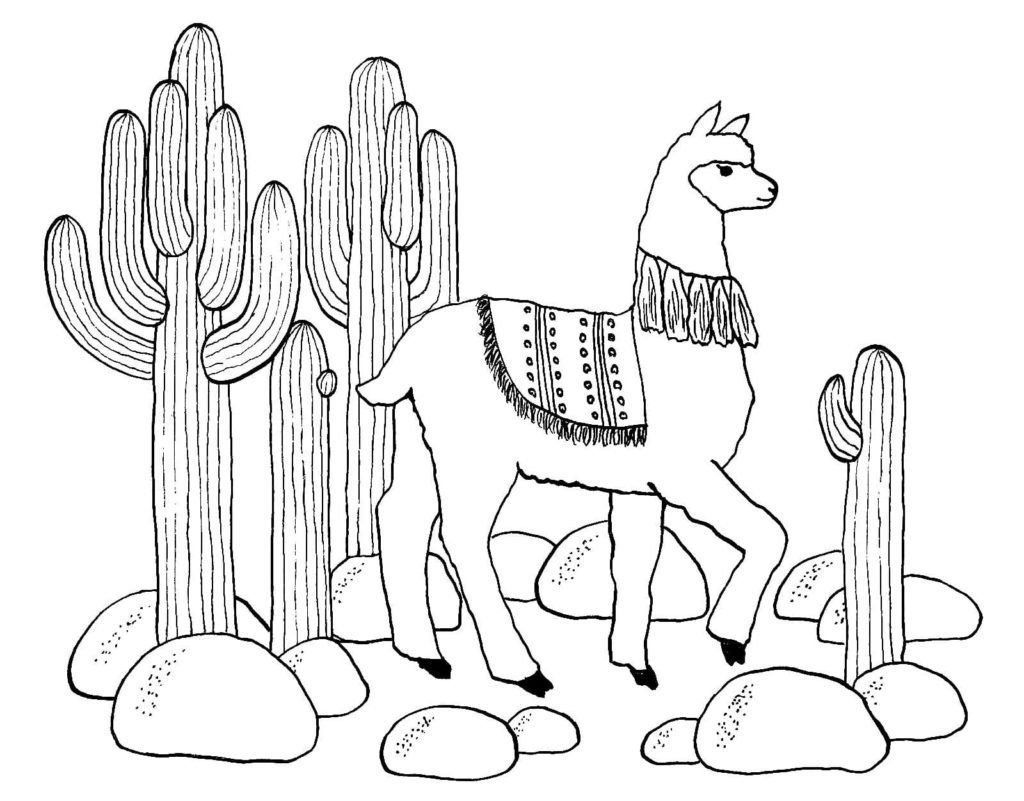 Llama y cactus