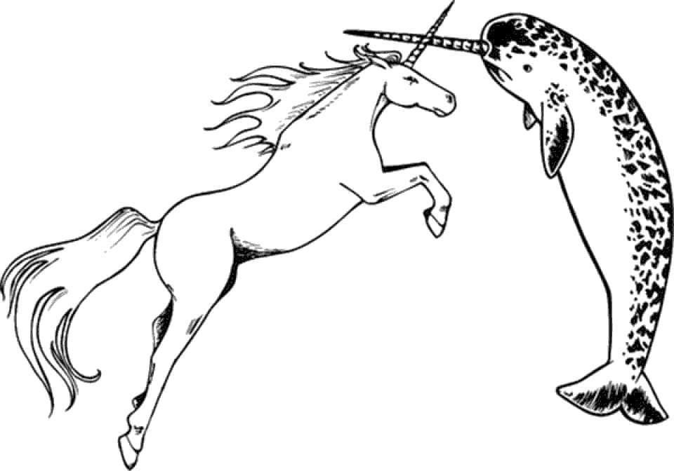Narval y Unicornio