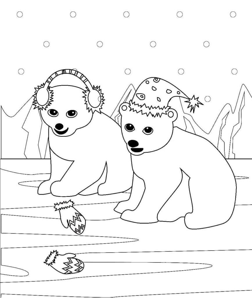 Los osos polares comparten guantes