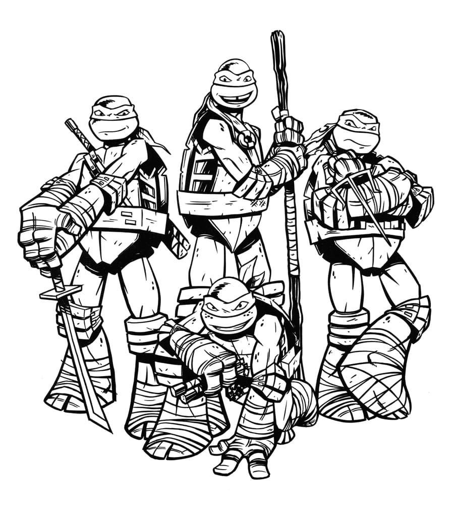 Un equipo de tortugas valientes