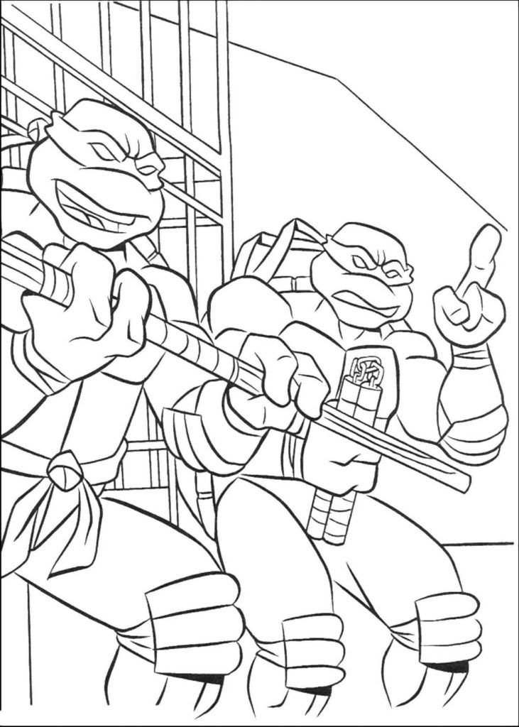 Raphael y Donatello