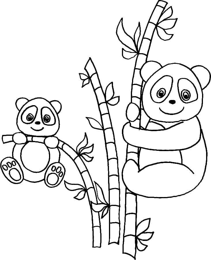 Dos pandas en bambú