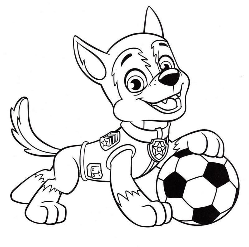 Al cachorro le encanta jugar fútbol