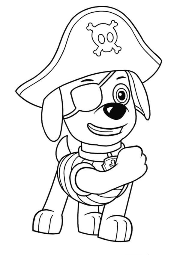 Cachorro disfrazado de pirata