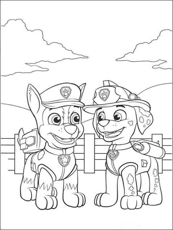 El cachorro de la policía tiene muchos amigos, pero Marshall se convirtió en su mejor amigo.