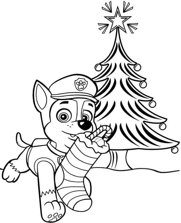 Chase decora el árbol de Navidad