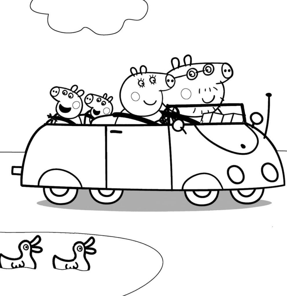 Familia de cerdos en coche