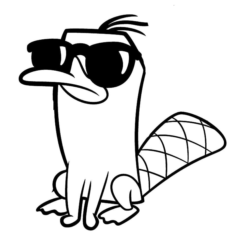 Cool Perry