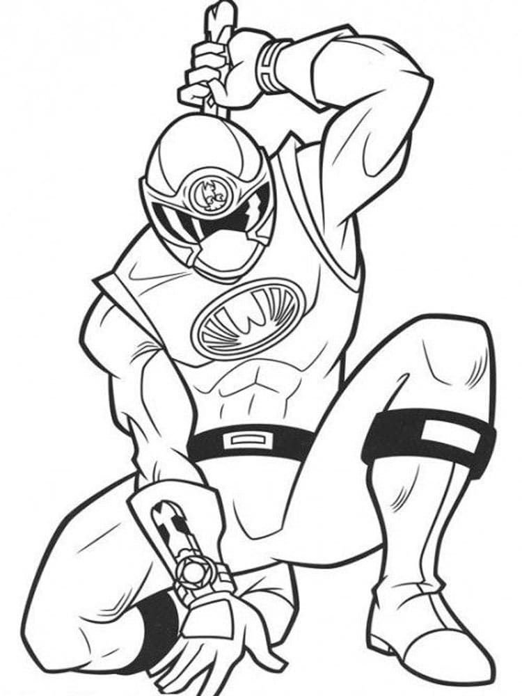 Ranger Ninja