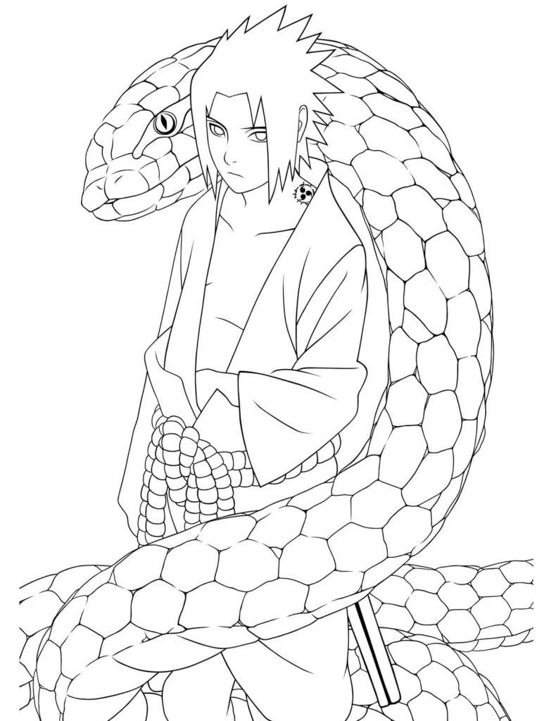 Sasuke y la serpiente