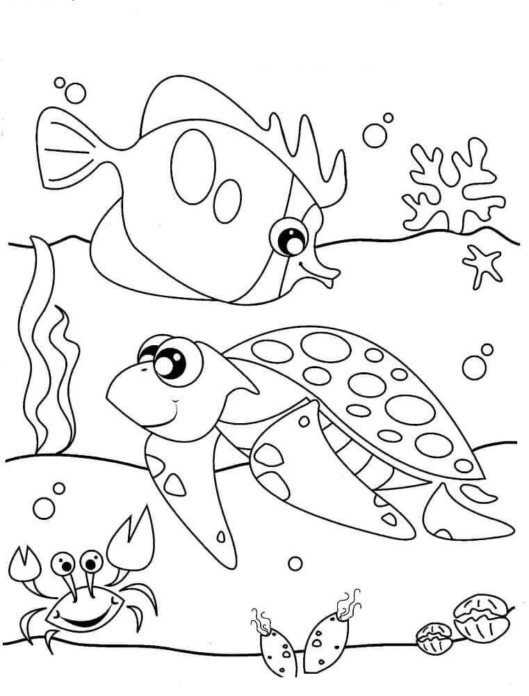 Peces y tortugas en el mar