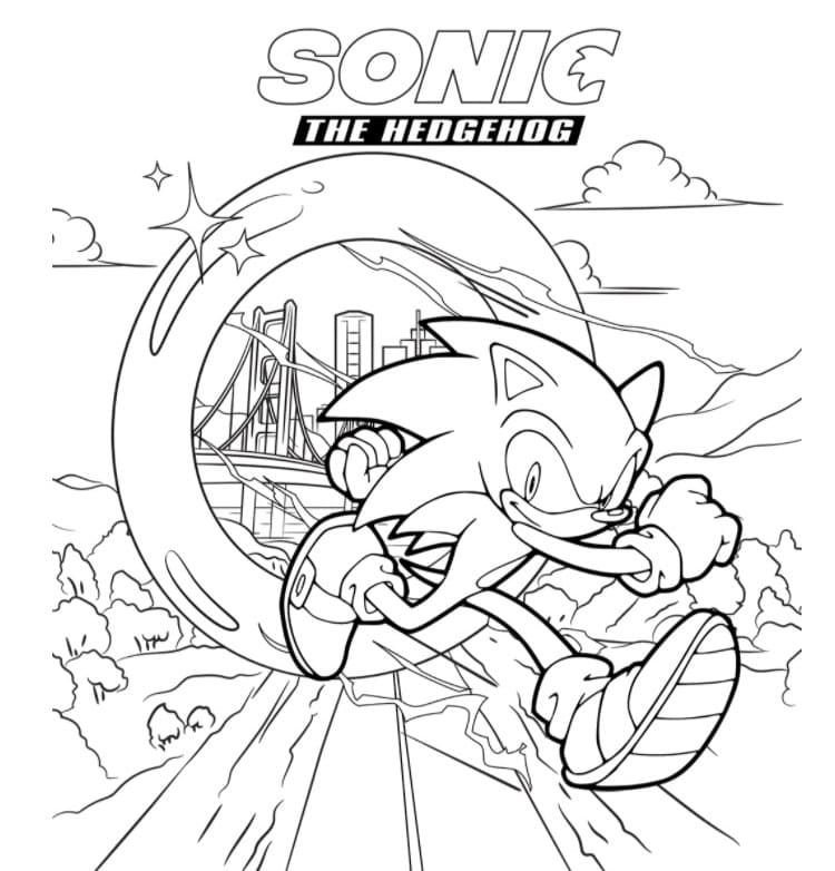 En su camino, Sonic intenta recolectar todos los anillos y cristales preciosos.