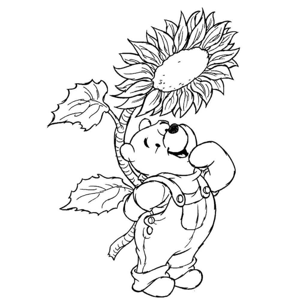 Winnie the Pooh con girasol