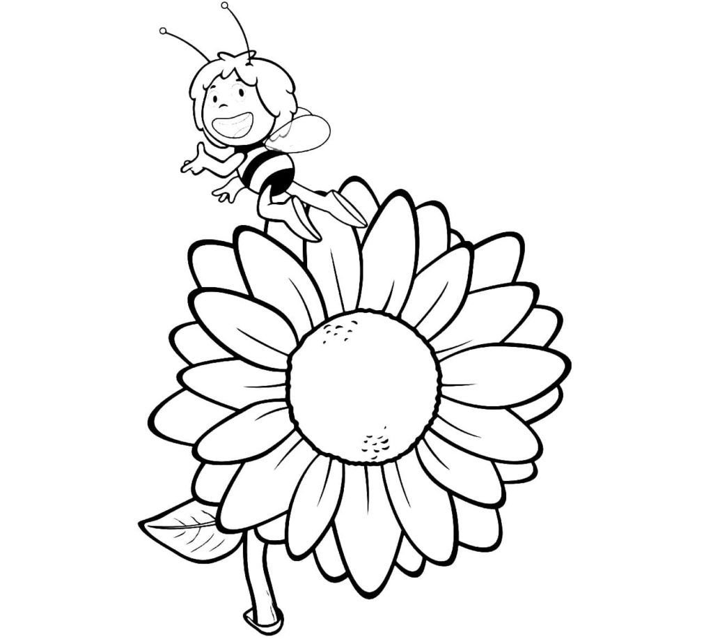 Una abeja vuela cerca de un girasol.