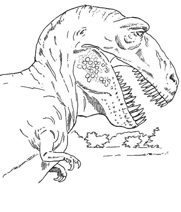 Cabeza de tiranosaurio