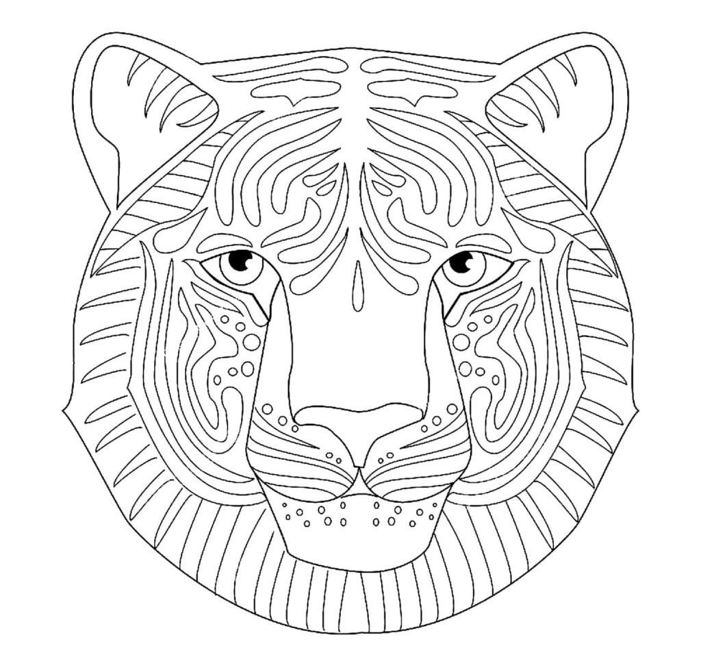 Cara de tigre