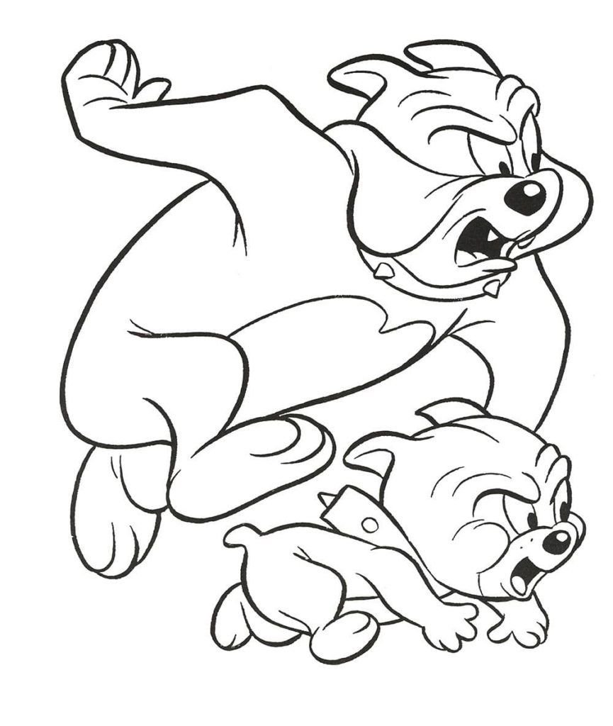 Perros de la caricatura Tom y Jerry