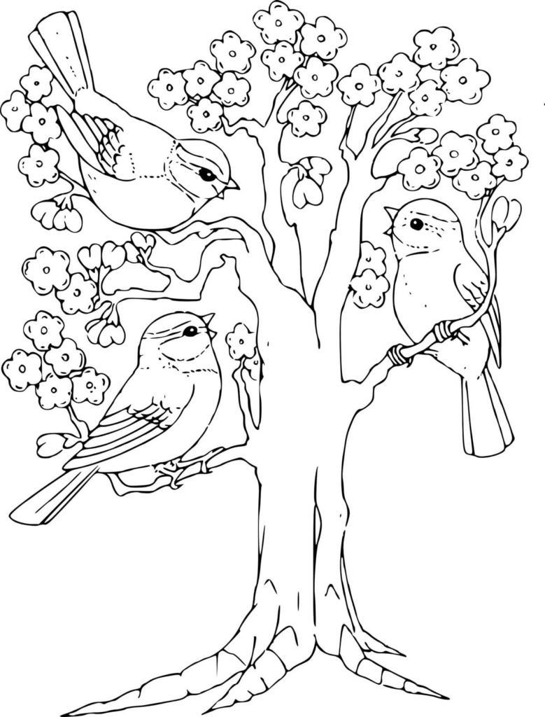 Pájaros en el árbol