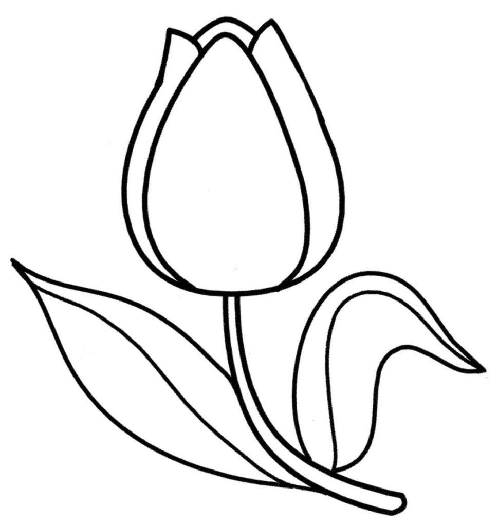 TulipÃ¡n el 8 de marzo