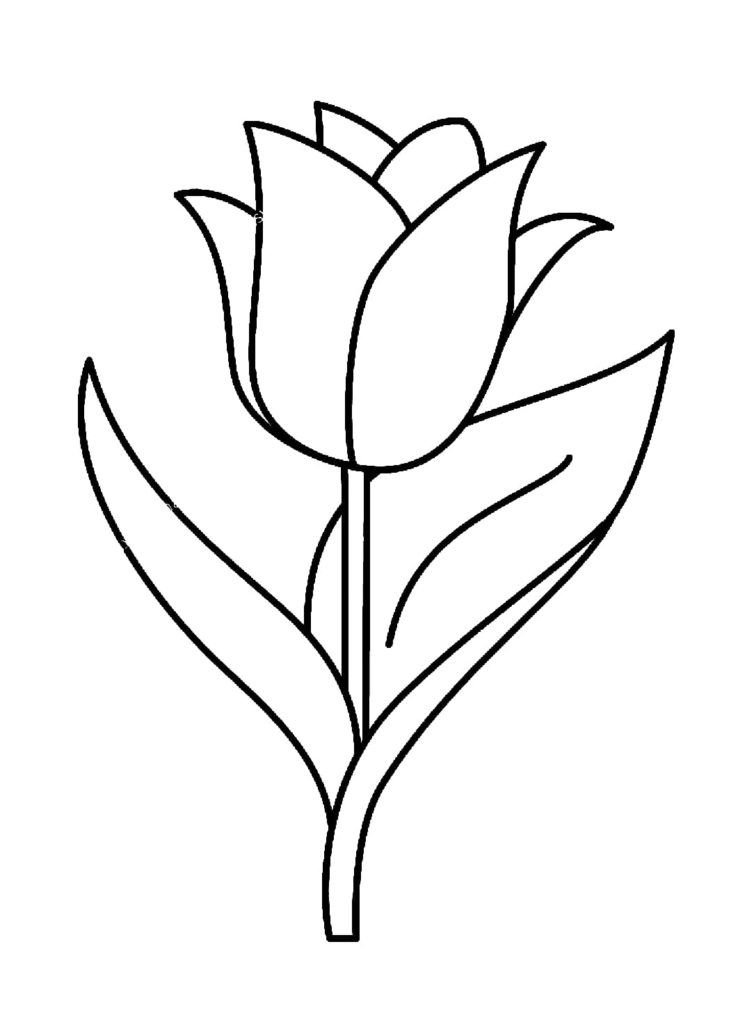 tulipÃ¡n con hojas