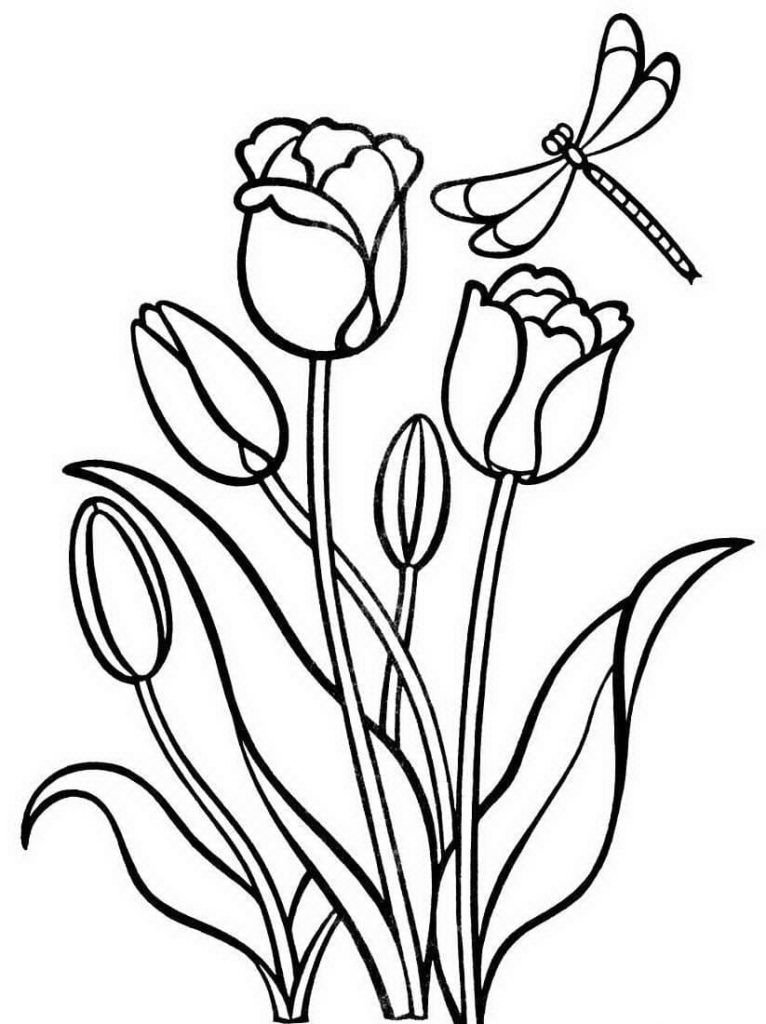 tulipanes y libÃ©lula